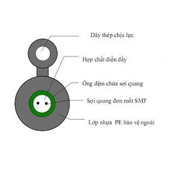  CÁP QUANG 6FO ỐNG LỎNG